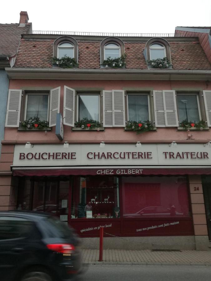 Spacieux Appartement Dans Le Centre De Munster Munster (Haut-Rhin) Exterior photo
